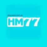 HM77 Game
