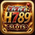 H789 Game
